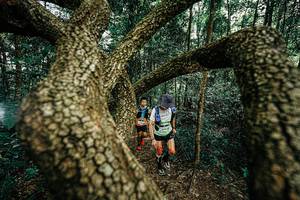 BIB: 
                            <button type="button" onclick="openModal(25393163)" class="btn btn-primary btn-sm float-right btn-popup" data-toggle="modal" data-target=".modal-high-quality">
                        <i class="fas fa-shopping-cart"></i> Add to Cart
                    </button>
                                            <button type="button" onclick="isThisMe(25393163, true)" class="btn btn-success btn-sm float-right btn-popup btn-isme hidden" data-toggle="tooltip" data-placement="bottom" title="นี่คือรูปของคุณใช่ไหม คลิกที่นี่เพื่อเอาเข้าอัลบั้ม">
                        <i class="fas fa-plus"></i> Add to album
                    </button>
                    <button type="button" onclick="isThisMe(25393163, false)" class="btn btn-warning btn-sm float-right btn-popup btn-isnotme hidden">
                        <i class="fas fa-ban"></i> Remove from album
                    </button>